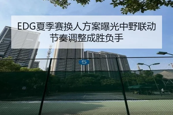 EDG夏季赛换人方案曝光中野联动节奏调整成胜负手